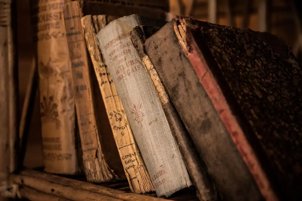 Rafturi cu cărți vechi de drept și volume de arhivă într-o bibliotecă